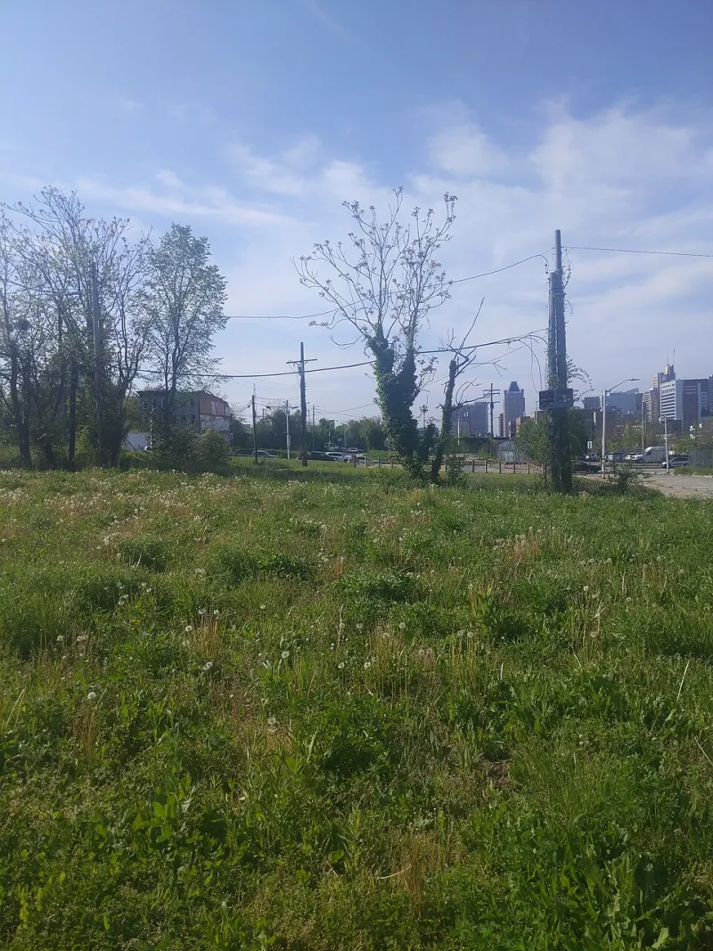 From Industrial Wasteland to Investment-Grade Asset: Navigating Britain's Contaminated Land Opportunity